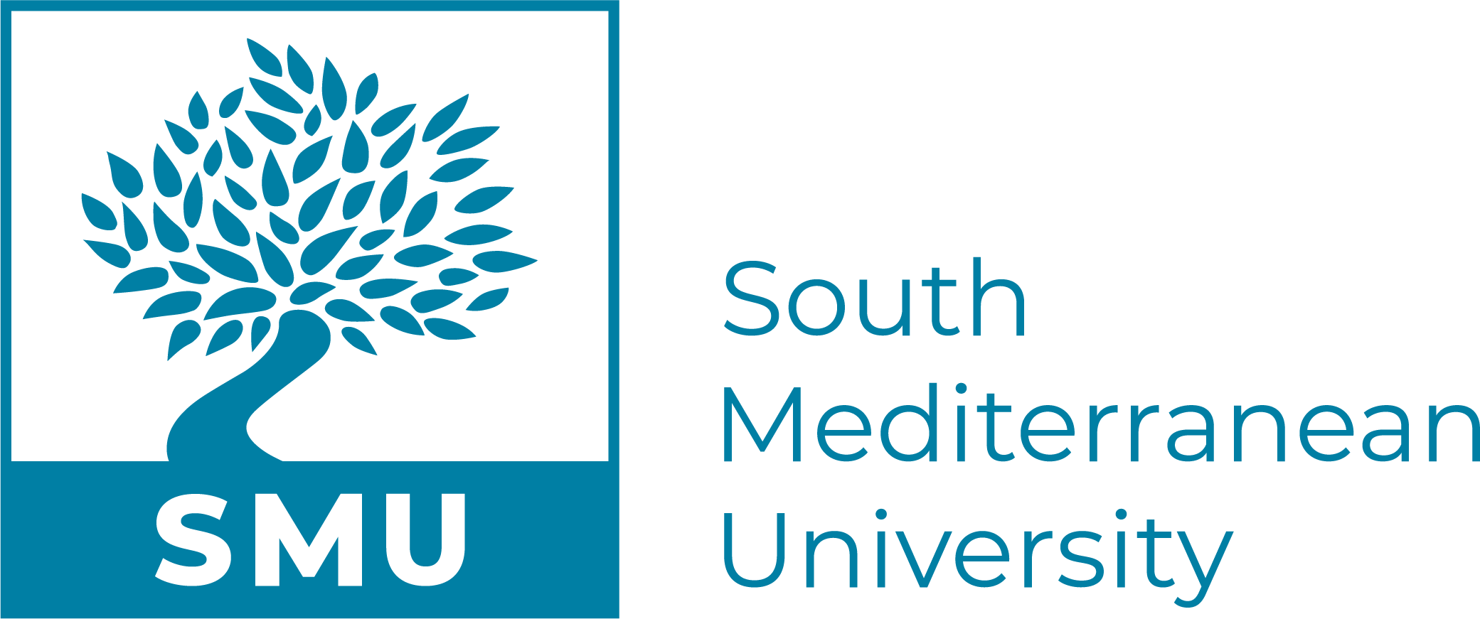 South Mediterranean University
